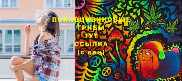 марки lsd Горнозаводск