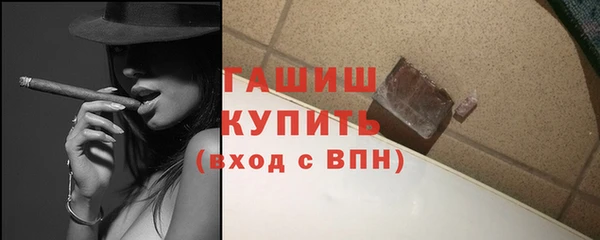 прущие грибы Гусиноозёрск