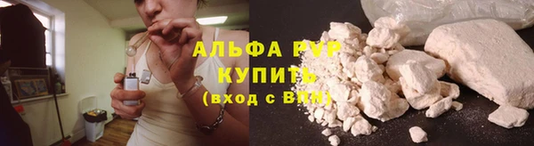 СК Горно-Алтайск