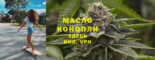 прущие грибы Гусиноозёрск