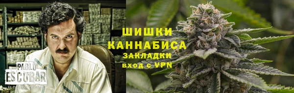 альфа пвп Гусев