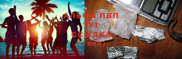 СК Горно-Алтайск
